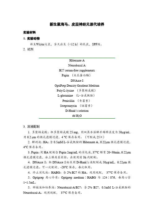新生鼠海马、皮层神经元原代培养