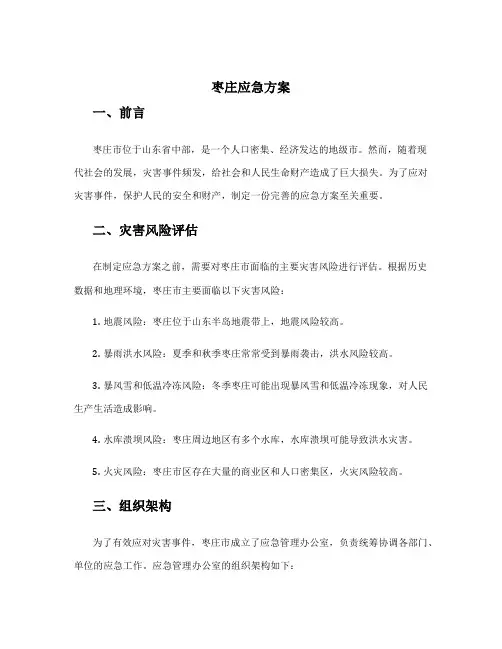 枣庄应急方案