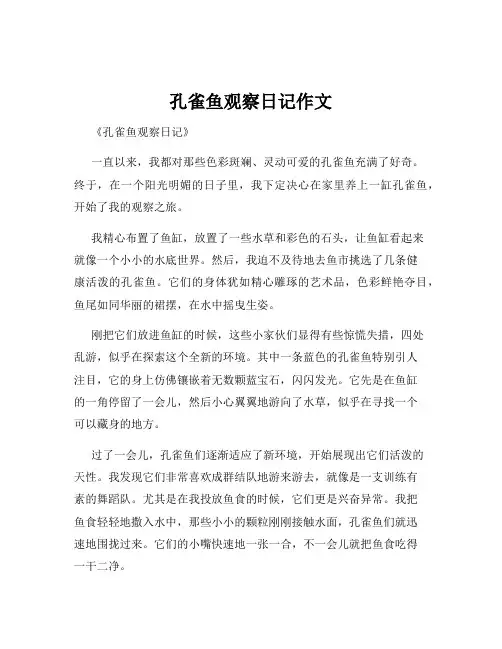 孔雀鱼观察日记作文