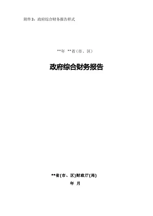 2022年度政府综合财务报告样式