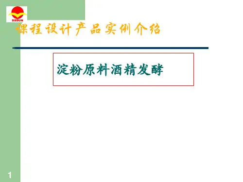 酒精发酵工艺过程