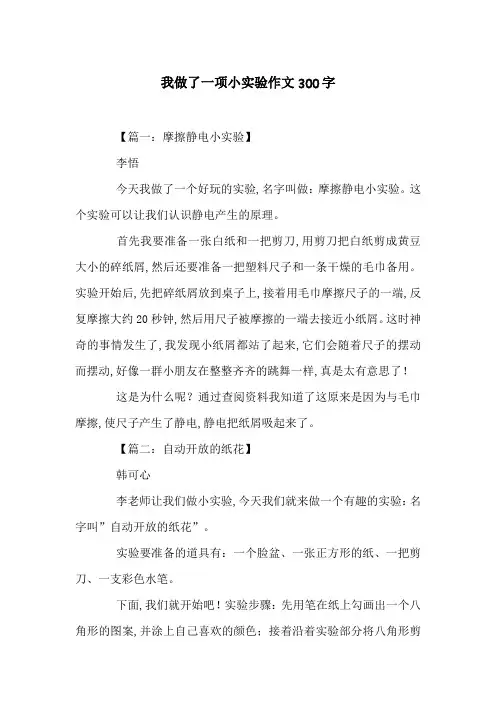 我做了一项小实验作文300字_6