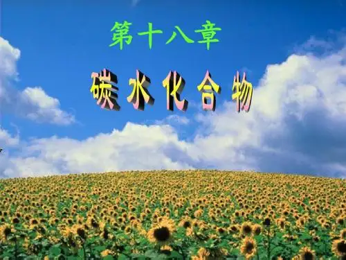 大学有机化学第十八章 碳水化合物