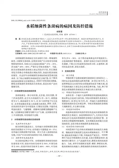 水稻细菌性条斑病的病因及防控措施