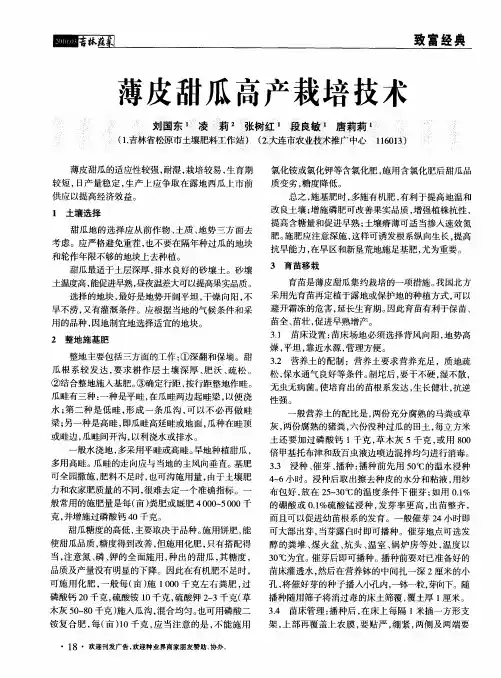 薄皮甜瓜高产栽培技术