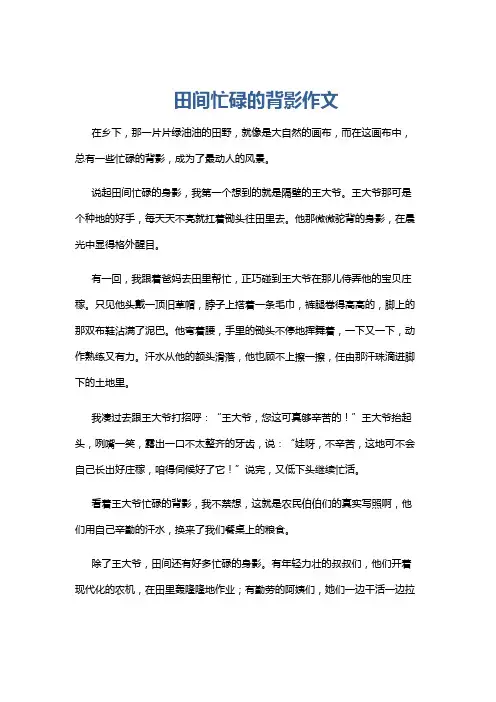 田间忙碌的背影作文