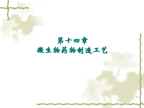 生物制药工艺学第14章微生物药物制造工艺ppt演示课件