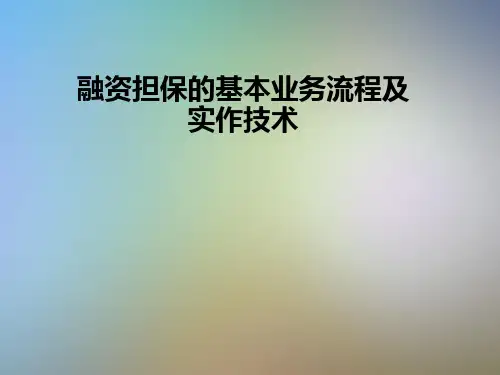 融资担保的基本业务流程及实作技术