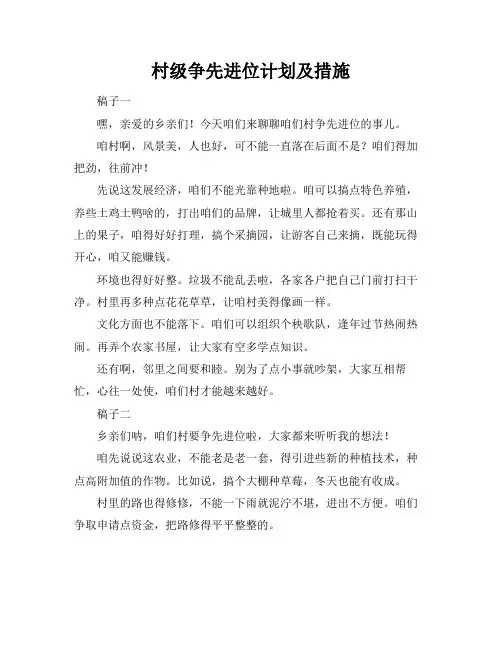 村级争先进位计划及措施