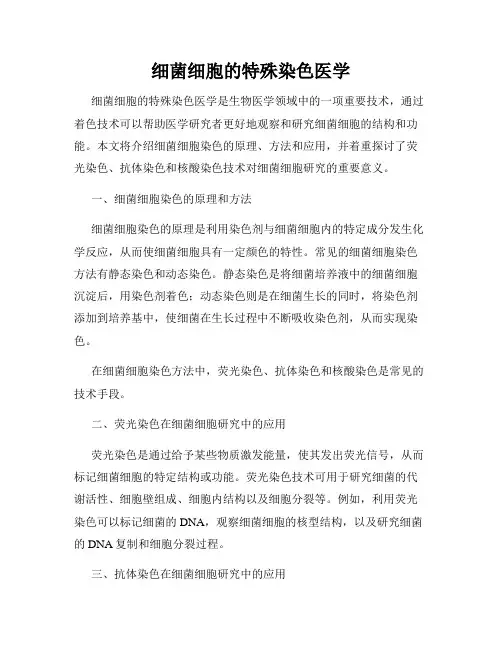 细菌细胞的特殊染色医学