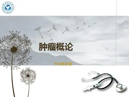 黑色素瘤PPT课件