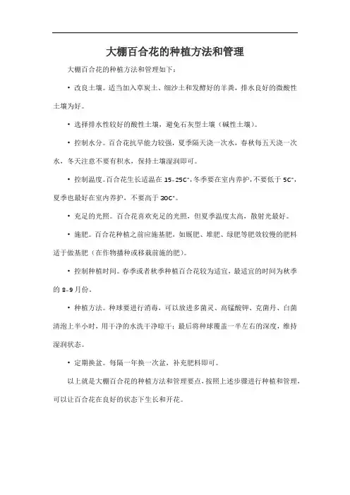 大棚百合花的种植方法和管理