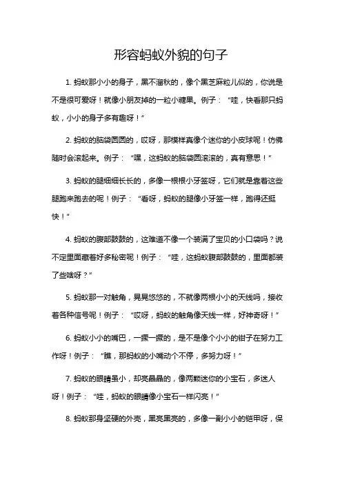 形容蚂蚁外貌的句子