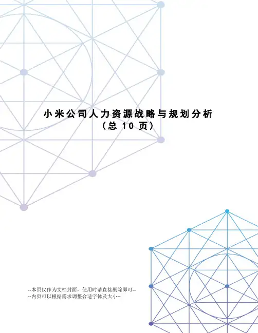 小米公司人力资源战略与规划分析