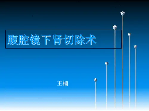 腹腔镜下肾切除术_【PPT课件】