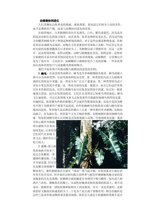 动植物协同进化