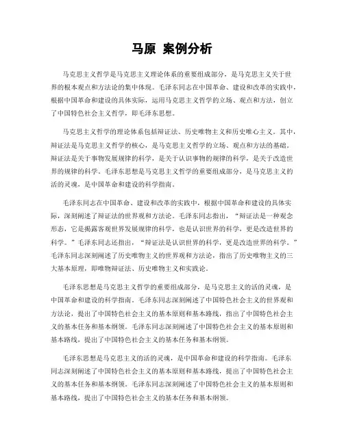 马原 案例分析