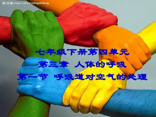 第三章第一节呼吸道对空气的处理(1)