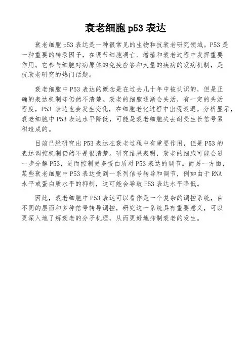 衰老细胞p53表达