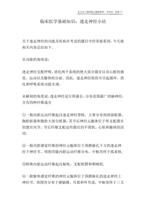 临床医学基础知识：迷走神经小结