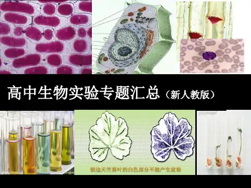 高中生物实验专题(精品课件)