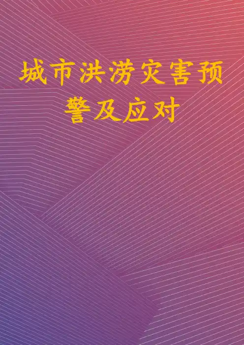 城市洪涝灾害预警及应对