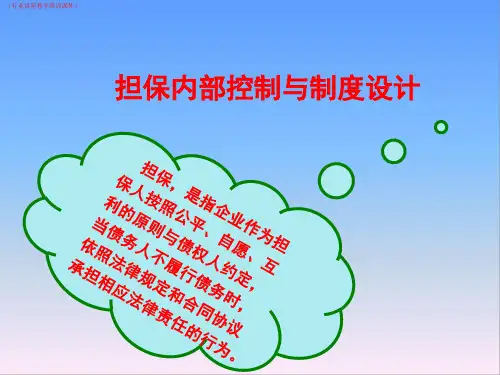 (行业)担保内部控制与制度设计详解(行业讲座教学培训课件)