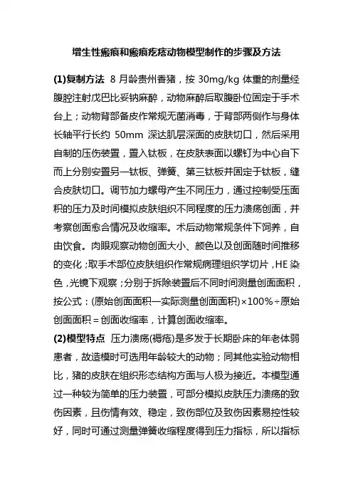增生性瘢痕和瘢痕疙瘩动物模型制作的步骤及方法