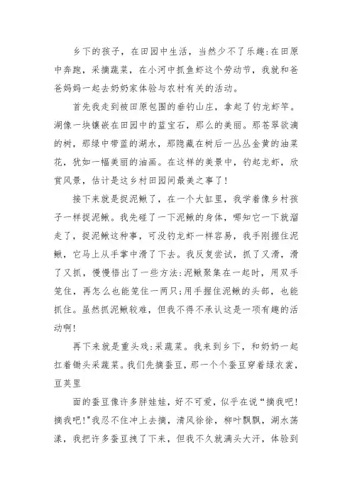 在乡村里玩耍作文