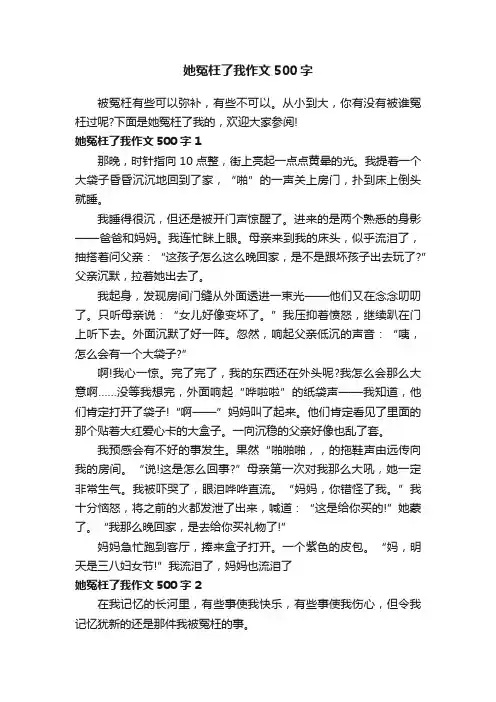 她冤枉了我作文500字