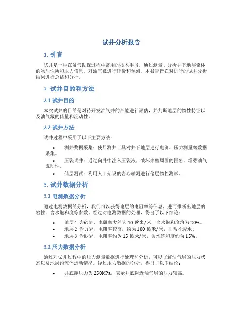 试井分析报告