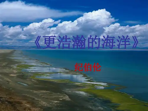 语文版九年级下《更浩瀚的海洋》教学课件