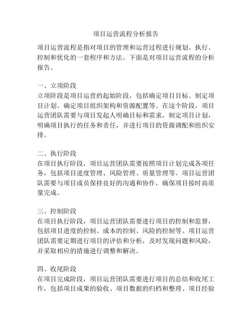 项目运营流程分析报告