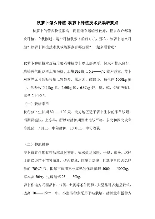 秋萝卜怎么种植 秋萝卜种植技术及栽培要点
