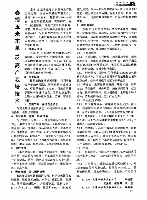 春播玉米东单13高产栽培技术