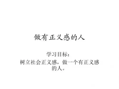 九年级政治维护正义-遵守规则