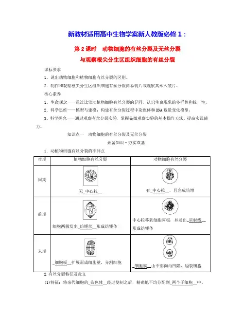 高中生物动物细胞的有丝分裂及无丝分裂与观察根尖分生区组织细胞的有丝分裂学案新人教版必修1(含答案)