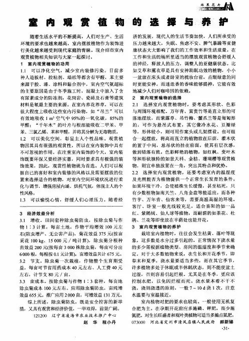 室内观赏植物的选择与养护