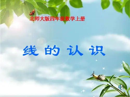 四年级数学___四上线的认识PPT课件