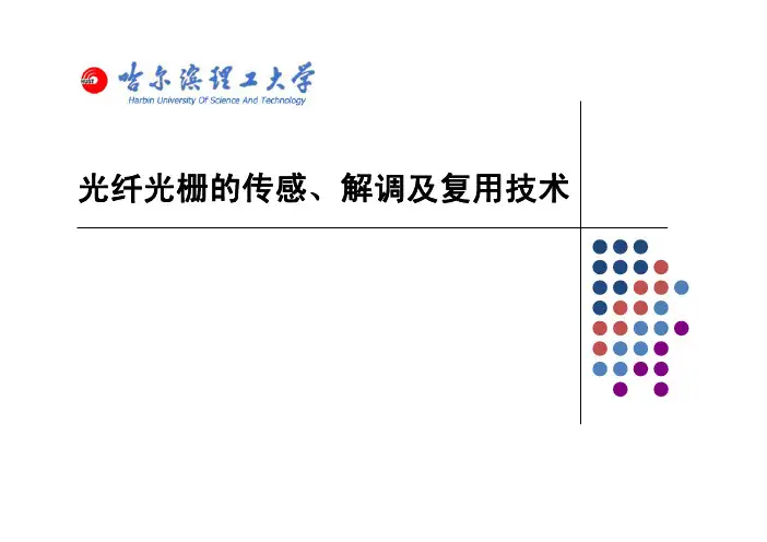 光纤光栅的传感、解调及复用技术