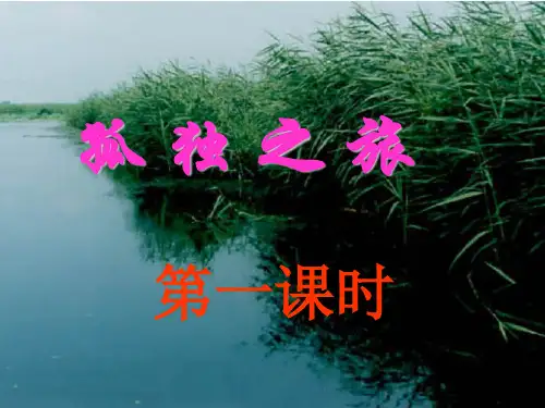 人教版九年级语文《孤独之旅》课件(28张PPT)