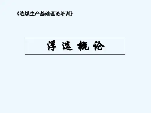 浮选培训 PPT