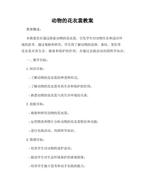 动物的花衣裳教案