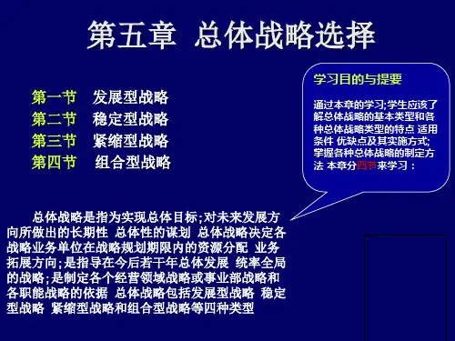 《战略管理EMBA课程》整套教授讲义