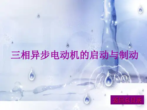 三相异步电动机的启动与制动ppt课件