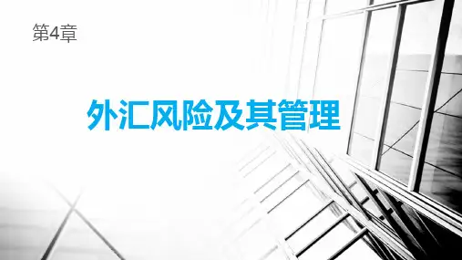 第4章 外汇风险及其管理