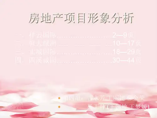 房地产项目形象分析(ppt 44页)2021实用新资料