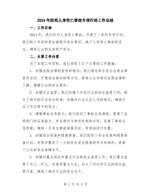 2024年防范人身伤亡事故专项行动工作总结