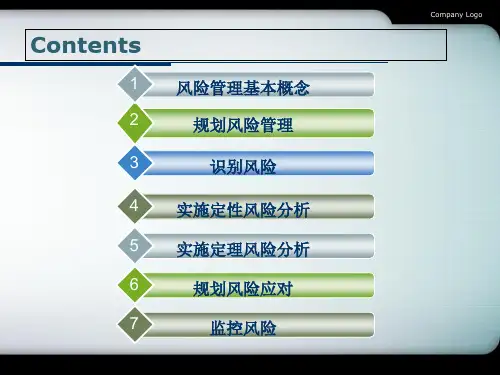第十一章项目风险管理课件