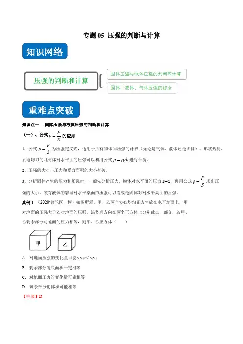 压强的判断与计算(知识点串讲)(解析版)